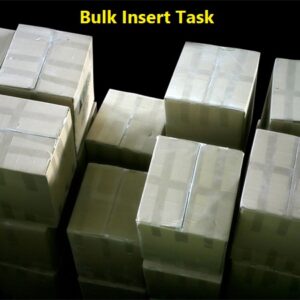 Bulk Insert Task