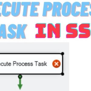 Execute Process Task